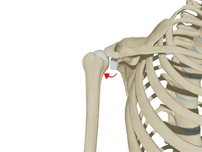 Posterior Shoulder Instability Images