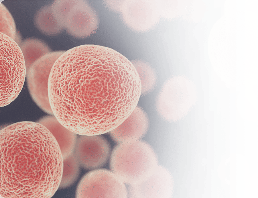 Adult and Pediatric Musculoskeletal Oncology Pic