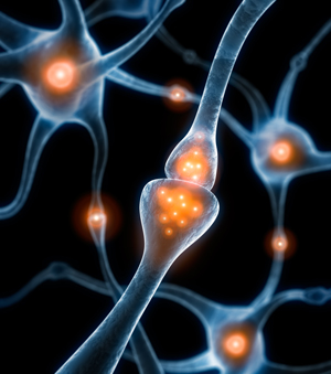Altered Neurotransmitter Production and the Gut–Brain Connection