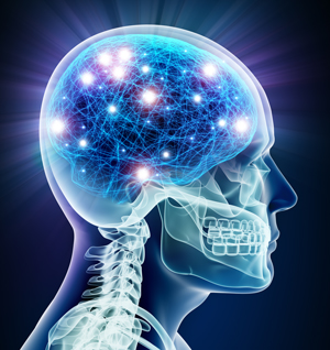 Alzheimer’s Disease and the Gut–Brain Axis