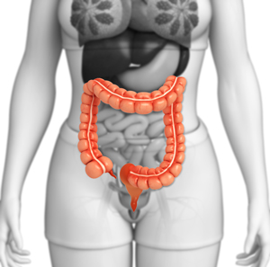 Behavioral Issues Linked to Food Intolerance or Dysbiosis and the Gut–Brain Axis