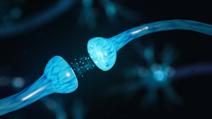 Developmental Delay and the Gut–Brain Axis: Understanding the Role of Dysbiosis