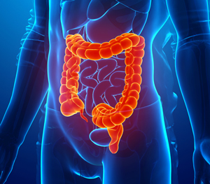 Gut Dysbiosis and the Gut–Brain Axis