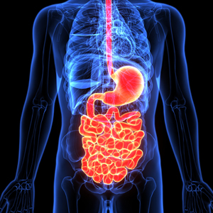 Somatic Symptom Disorder and the Gut–Brain Axis