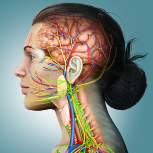 Vagus Nerve Dysregulation and the Gut–Brain Axis