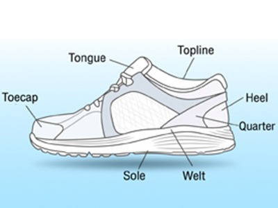 Anatomy of the Shoe - Educational Picture