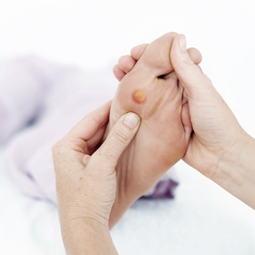 Corns Educational Picture