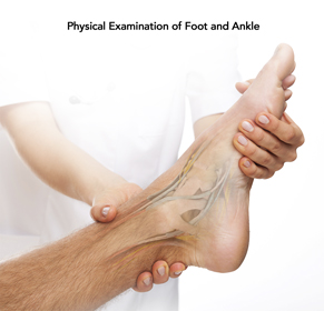 Foot &  Ankle Examination