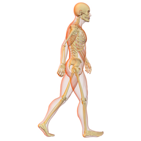 Gait Analysis
