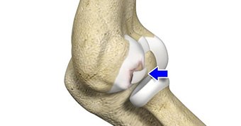 Research & Publications image1