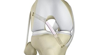 Research & Publications image2