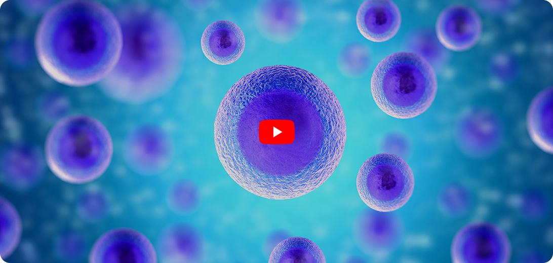 Patient Educational Videos