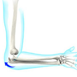 elbow instability