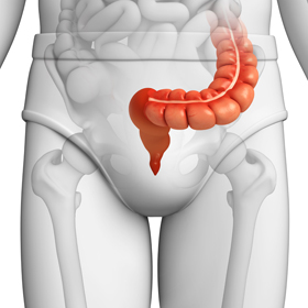 Fecal Incontinence Treatment - picture