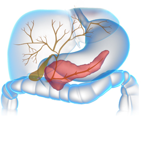 Pancreatic Disorders - picture