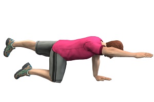 Spine Rehabilitation - pic