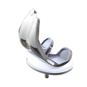 Picture of Total Knee Replacement