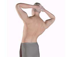 back pain exercises