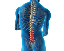lumbar spine