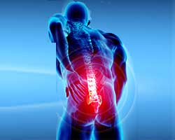 spine trauma