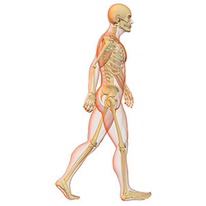 Gait Analysis Sb
