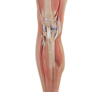 Physical Therapy Sb