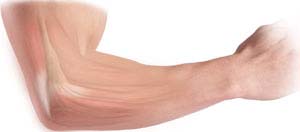 Elbow pic