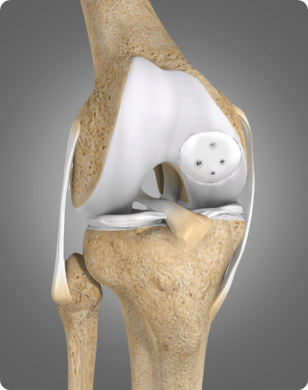 Regenerative Medicine image