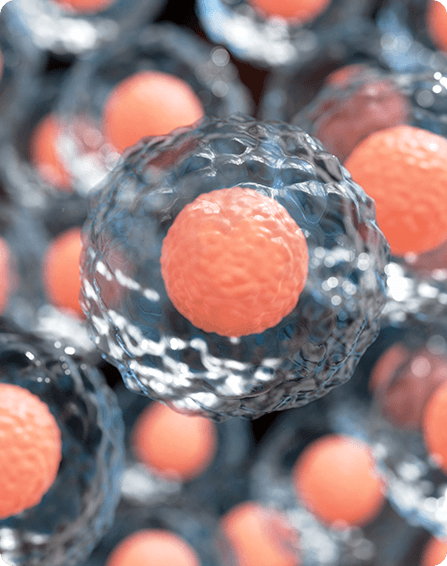 Regenerative Medicine image