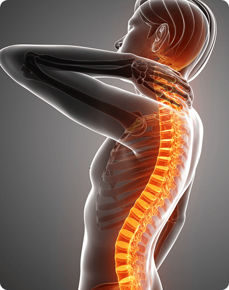 Spine image