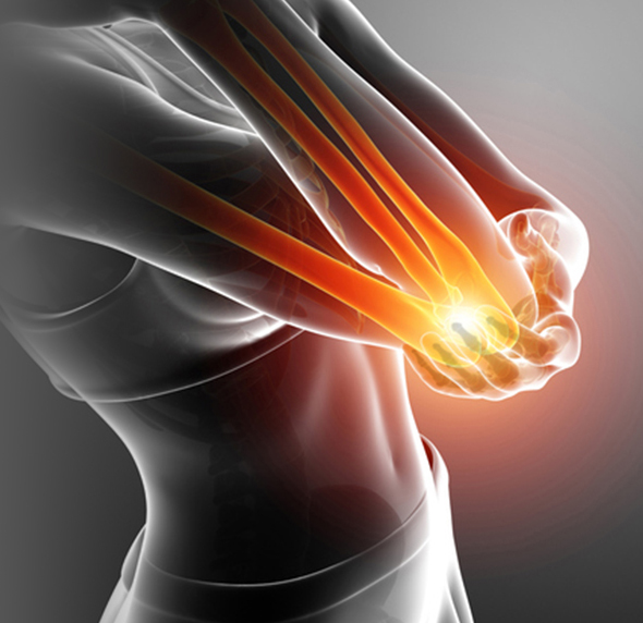 Elbow - Educational Picture