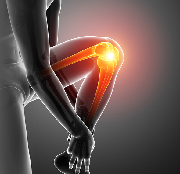 Knee - Educational Picture