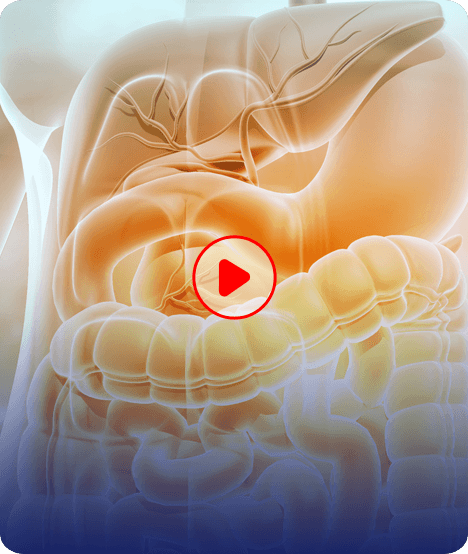 Picture of Patient Educational Videos
