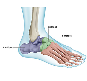 Foot-ankle Service