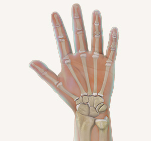 Hand & Wrist Service