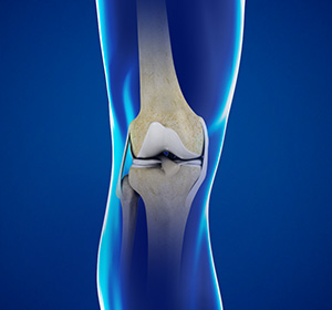 Knee Service
