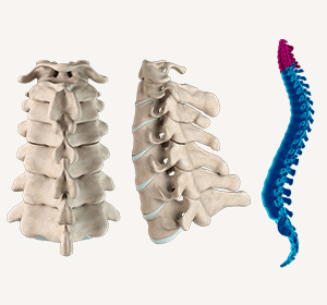 Spine Service