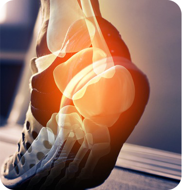Foot & Ankle
                                    Center Specialse