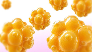 Microfragmented Adipose Tissue (MFAT)