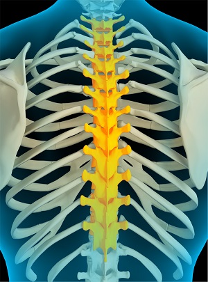 Thoracic