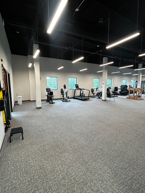 Physical Therapy1