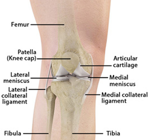 Unstable Knee - Educational Picture