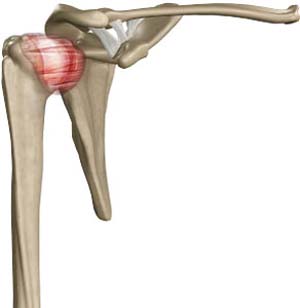 frozen-shoulder-img