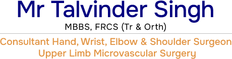 Mr Talvinder Singh Header Logo