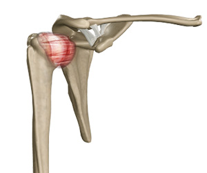 Frozen Shoulder - Educational Picture