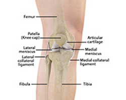 Picture of Unstable Knee