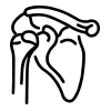 Picture of Shoulder