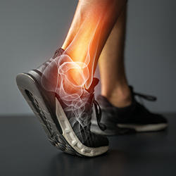 Picture of Foot and Ankle Anatomy