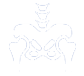 Picture of Hip