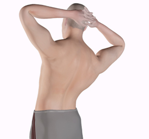 Back Pain Exercises - Educational Picture